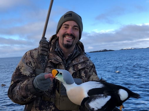 King Eider Hunting